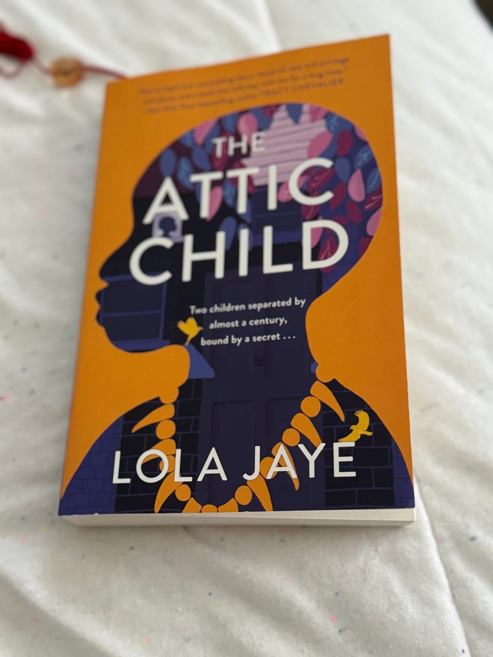 The Attic Child by Lola Jaye