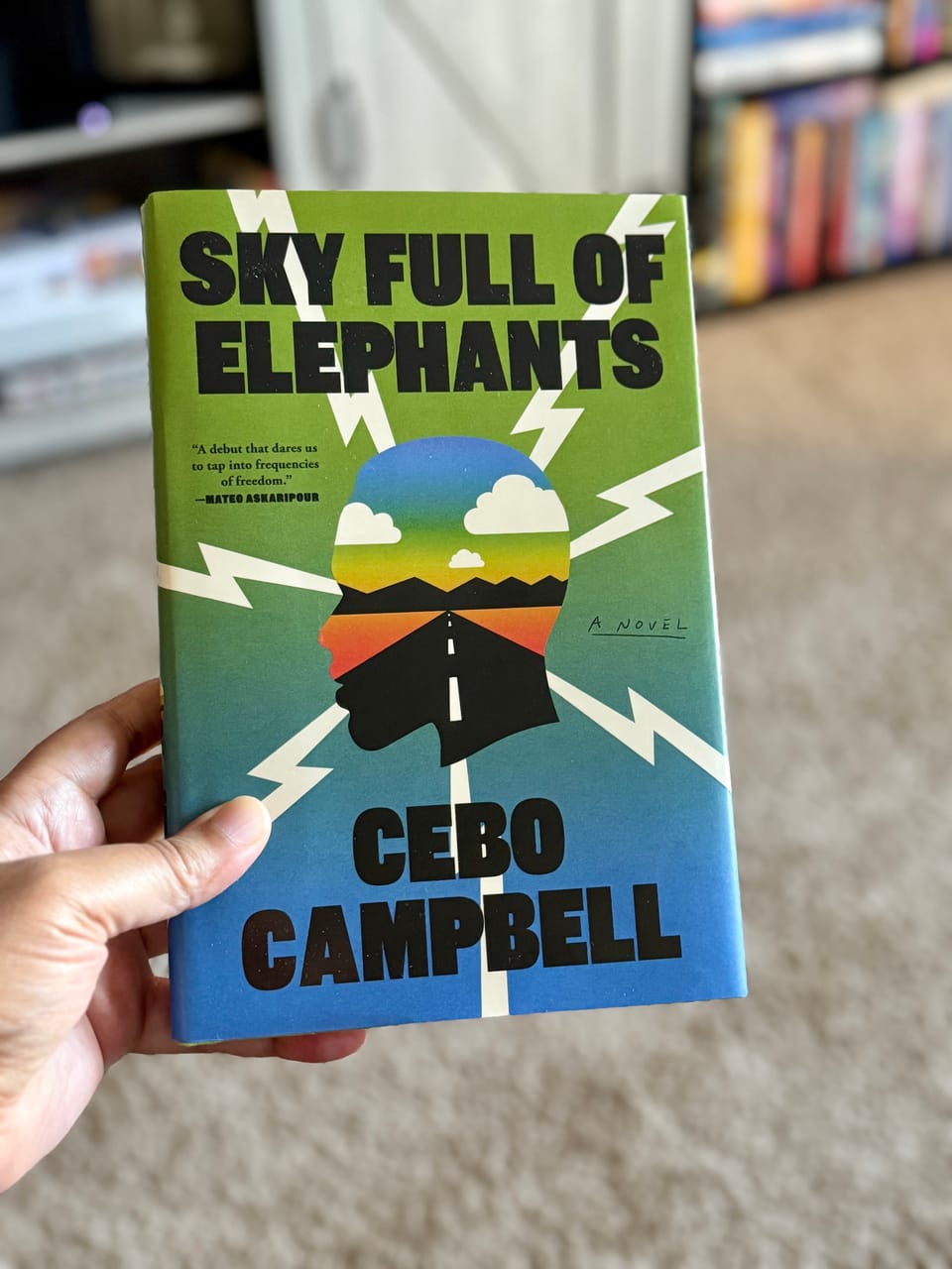 Sky Full of Elephants by Cebo Campbell